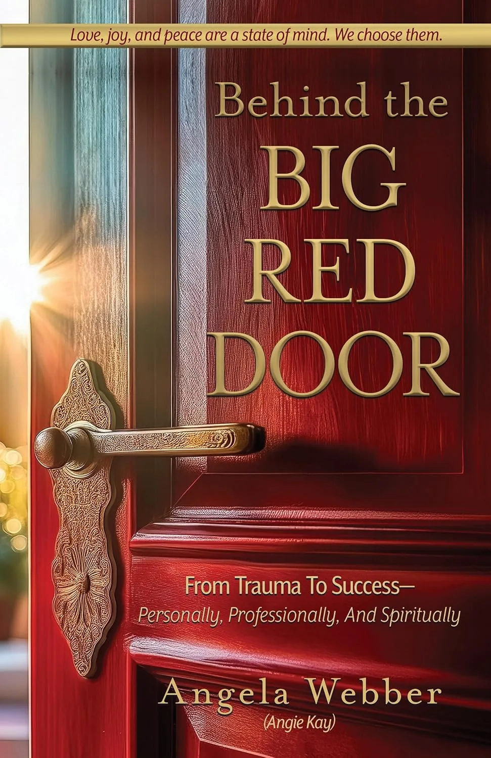 Cover of Behind The Big Red Door: From Trauma To Success—Personally, Professional, And Spiritually