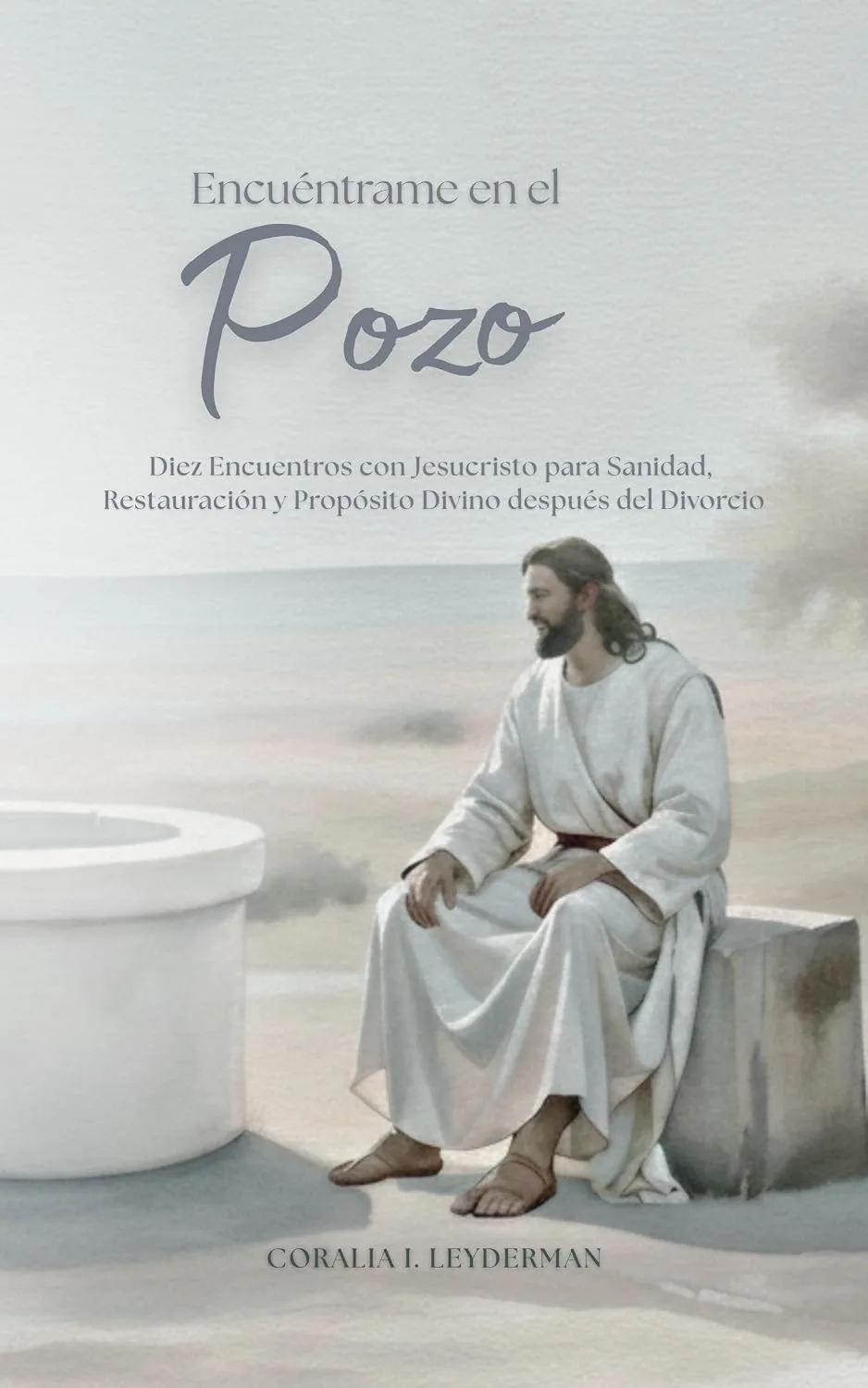 Cover of Encuéntrame en el Pozo (Spanish Edition)